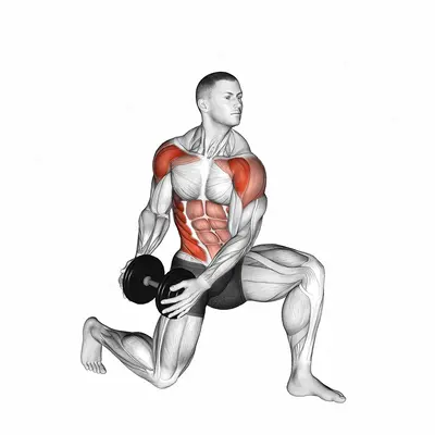 Dumbbell Half Kneeling Lift and Chop exercise targeting Waist