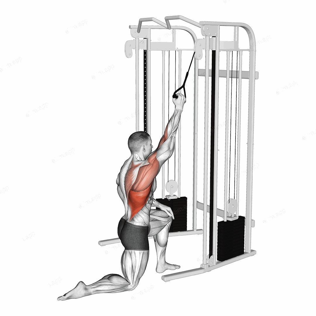 Cable Kneeling One Arm Lat Pulldown exercise targeting Back and Latissimus Dorsi