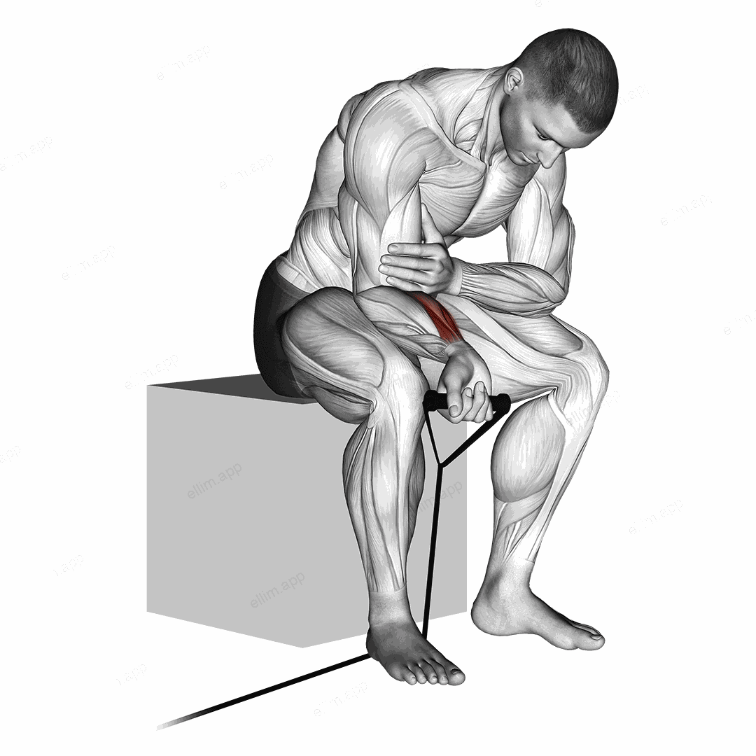 Band wrist curl exercise targeting Forearms and Wrist Flexors