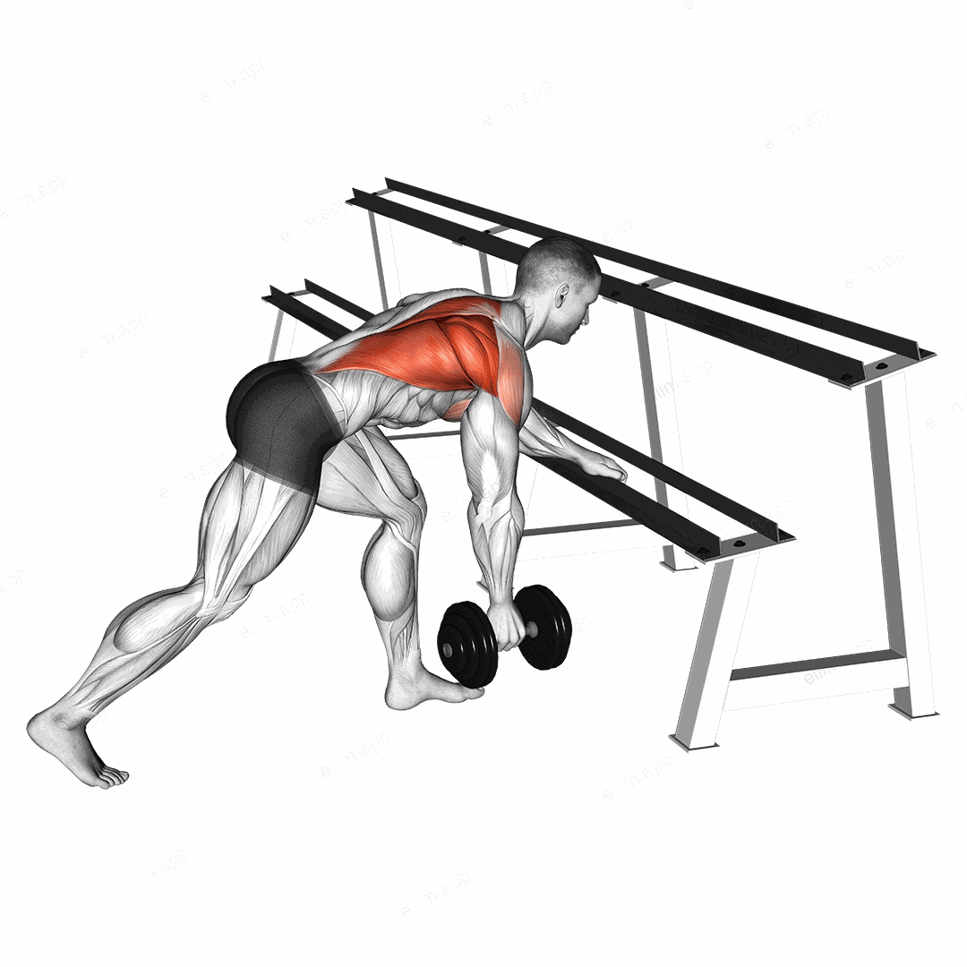 Dumbbell One Arm Row (rack support) exercise targeting Back and Infraspinatus