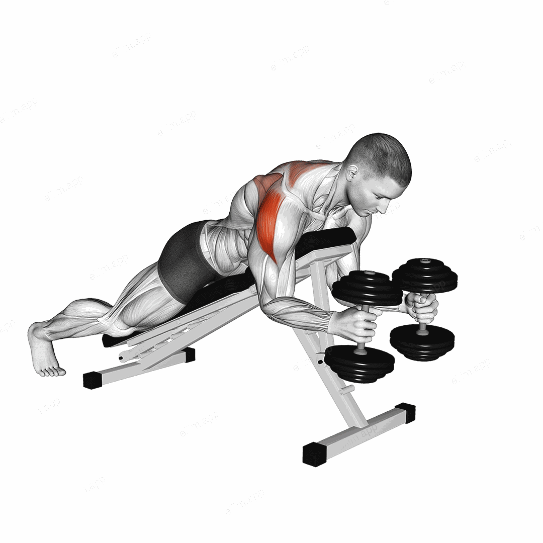 Dumbbell Prone W Raise exercise targeting Shoulders