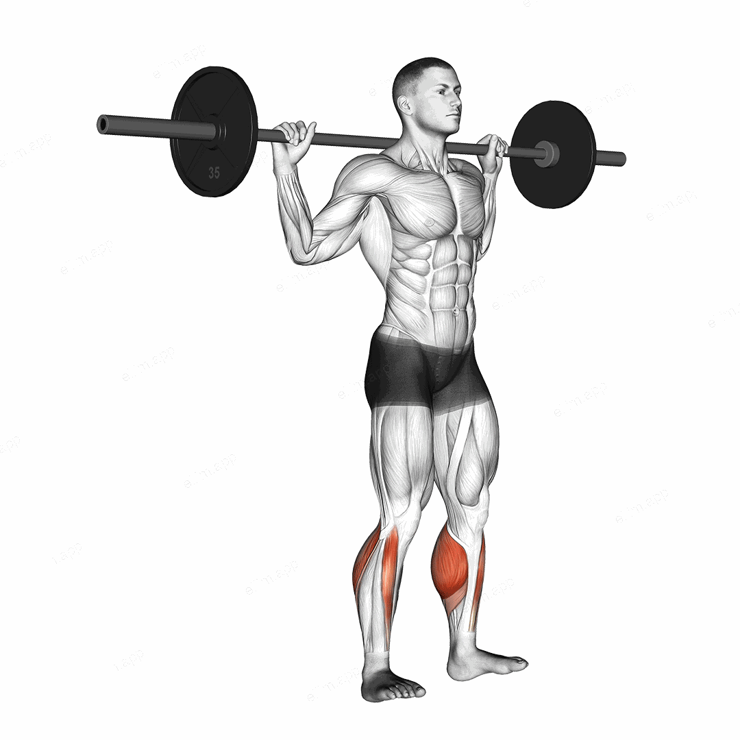 Barbell Standing Rocking Leg Calf Raise exercise targeting Calves and Gastrocnemius