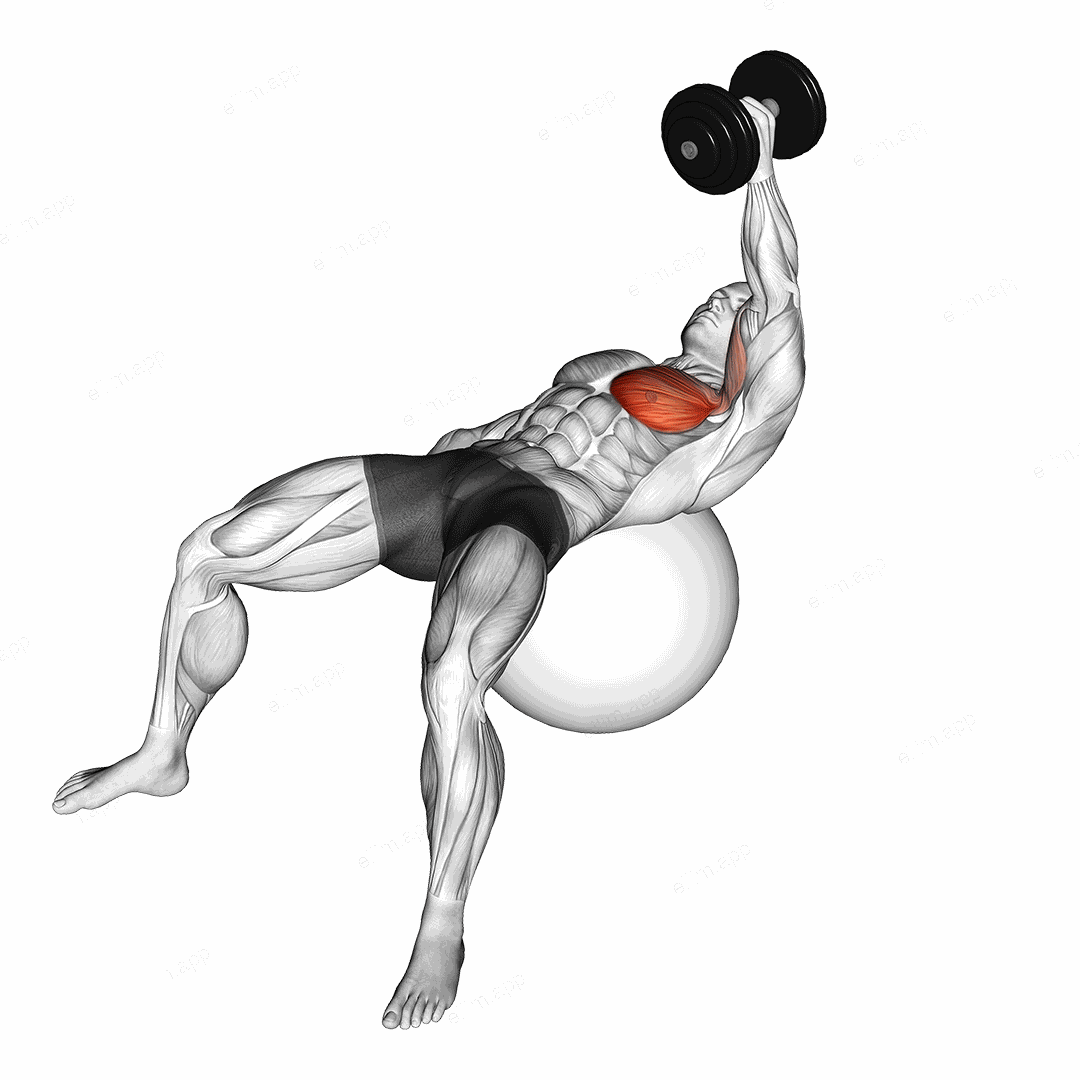 Dumbbell One Arm Fly on Exercise Ball exercise targeting Chest and Pectoralis Major Sternal Head