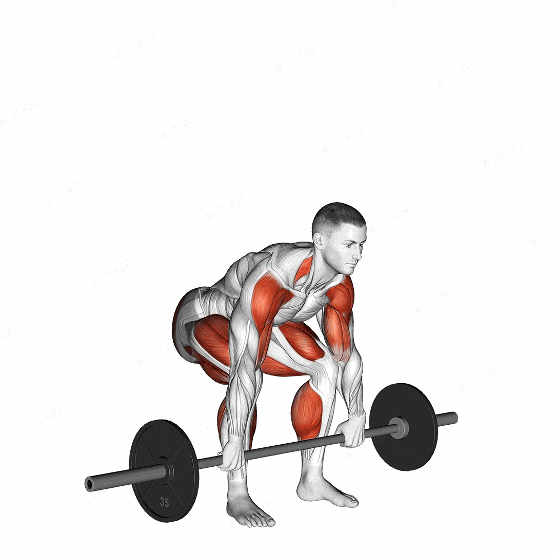 Barbell Clean Pull exercise targeting Weightlifting