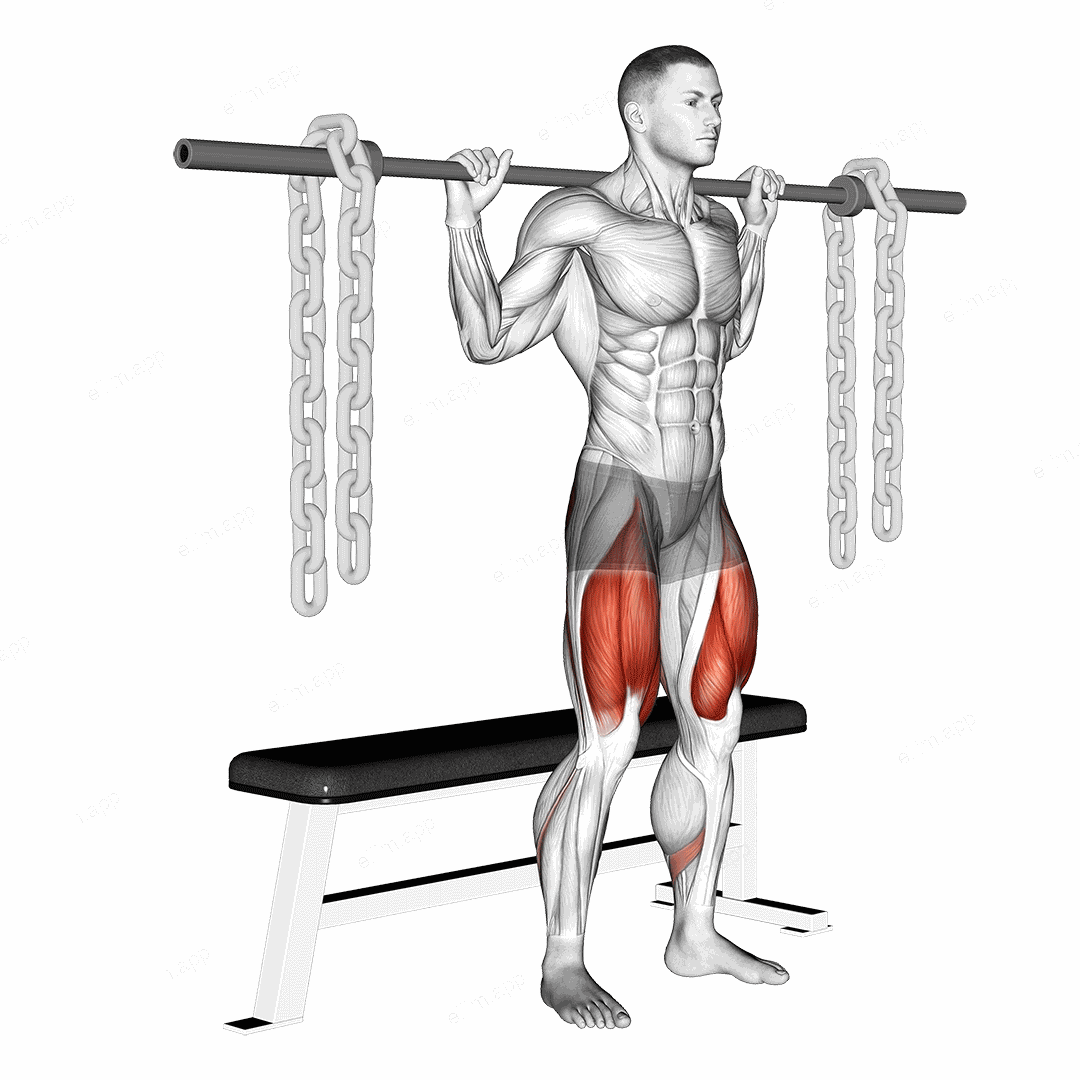 Barbell Bench Squat (With chains) exercise targeting Thighs