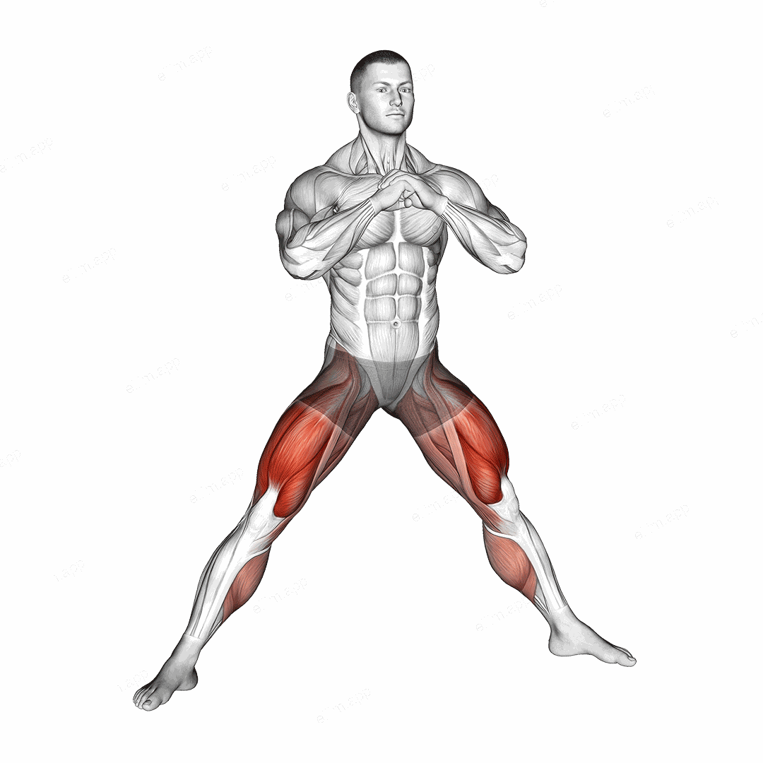 Side to Wide Squat exercise targeting Hips