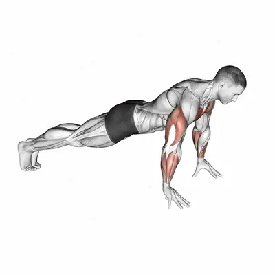 Finger Push-up exercise targeting Chest and Pectoralis Major Clavicular Head