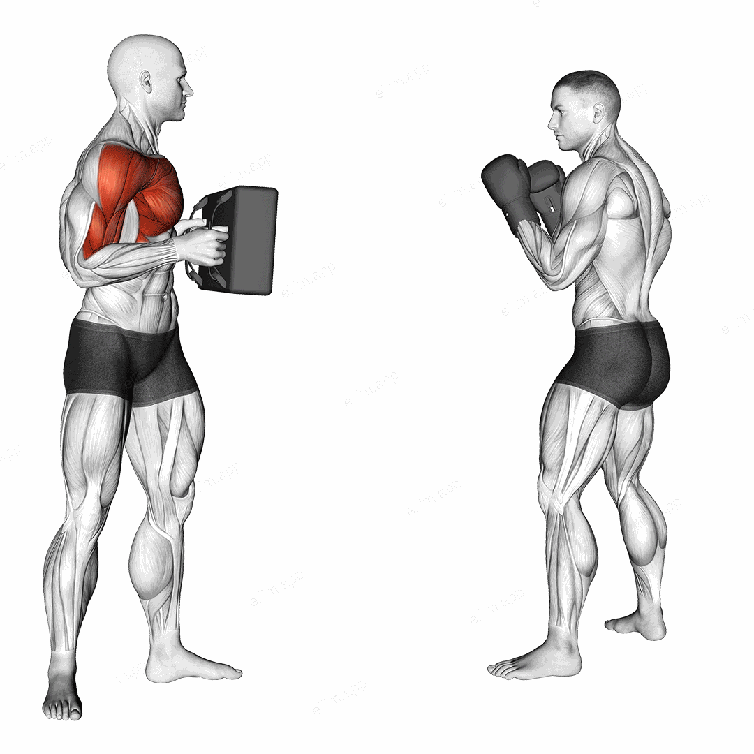 Front Snap Kick Kickboxing (with partner) exercise targeting Plyometrics