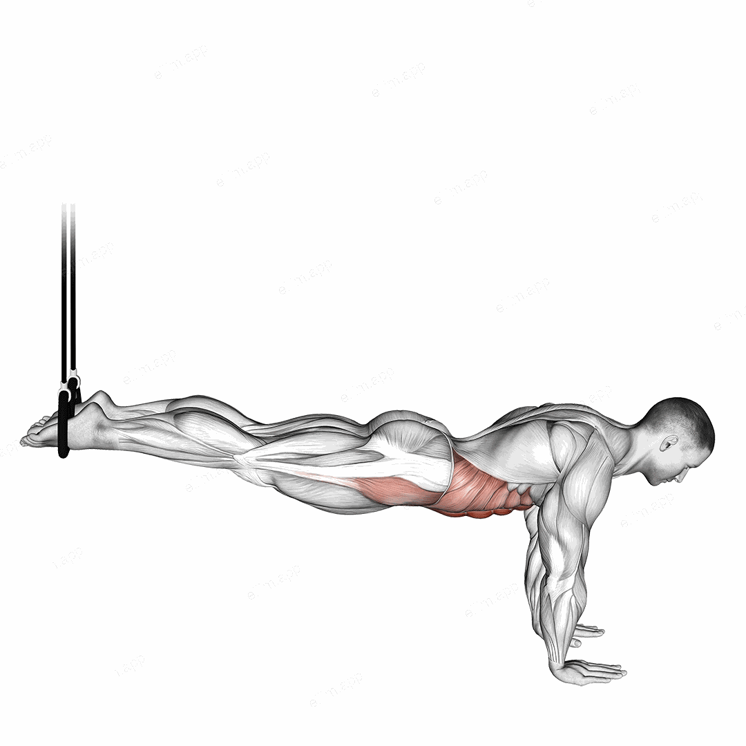Suspended Reverse Crunch exercise targeting Waist and Rectus Abdominis