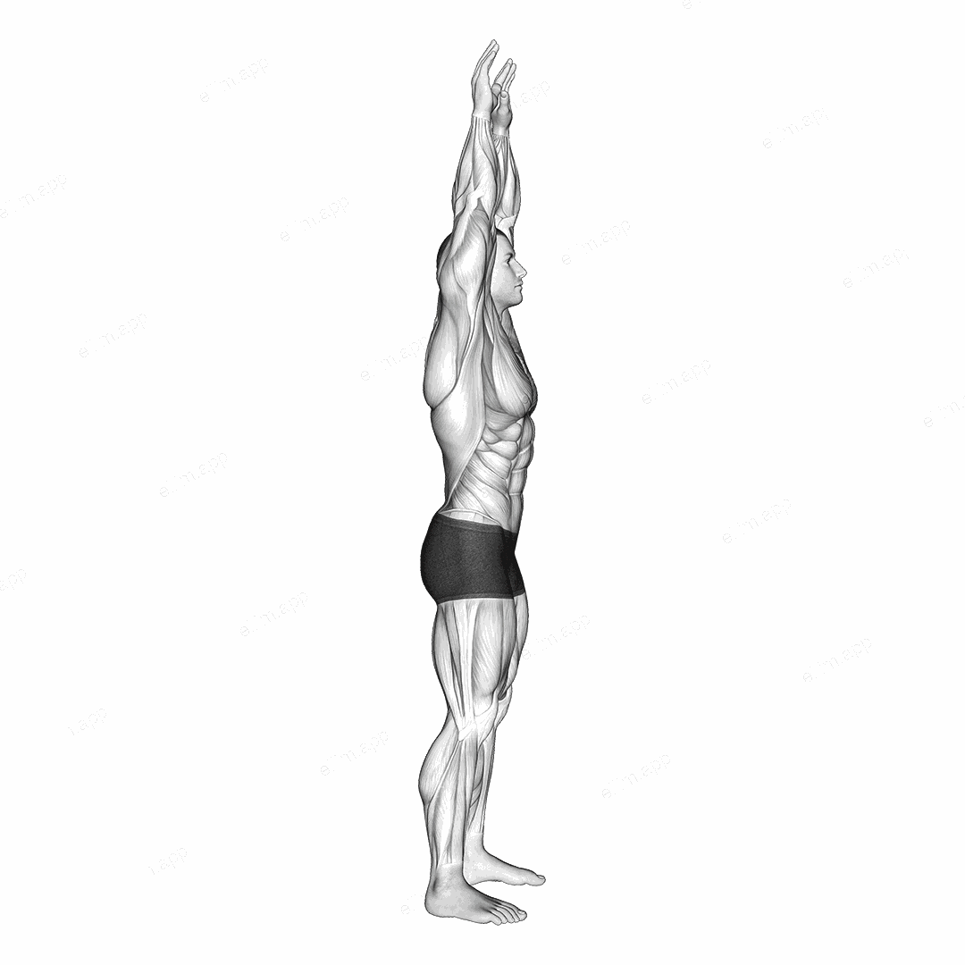 Shoulder Backbend Stretch exercise targeting Shoulders and Deltoid Anterior