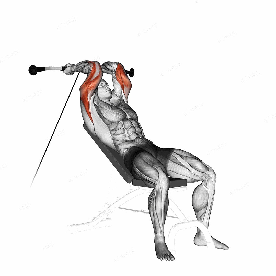 Cable Incline Triceps Extension exercise targeting Upper Arms and Triceps Brachii