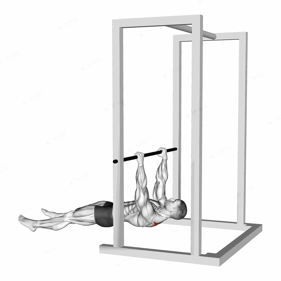 Inverted Shrug exercise targeting Back