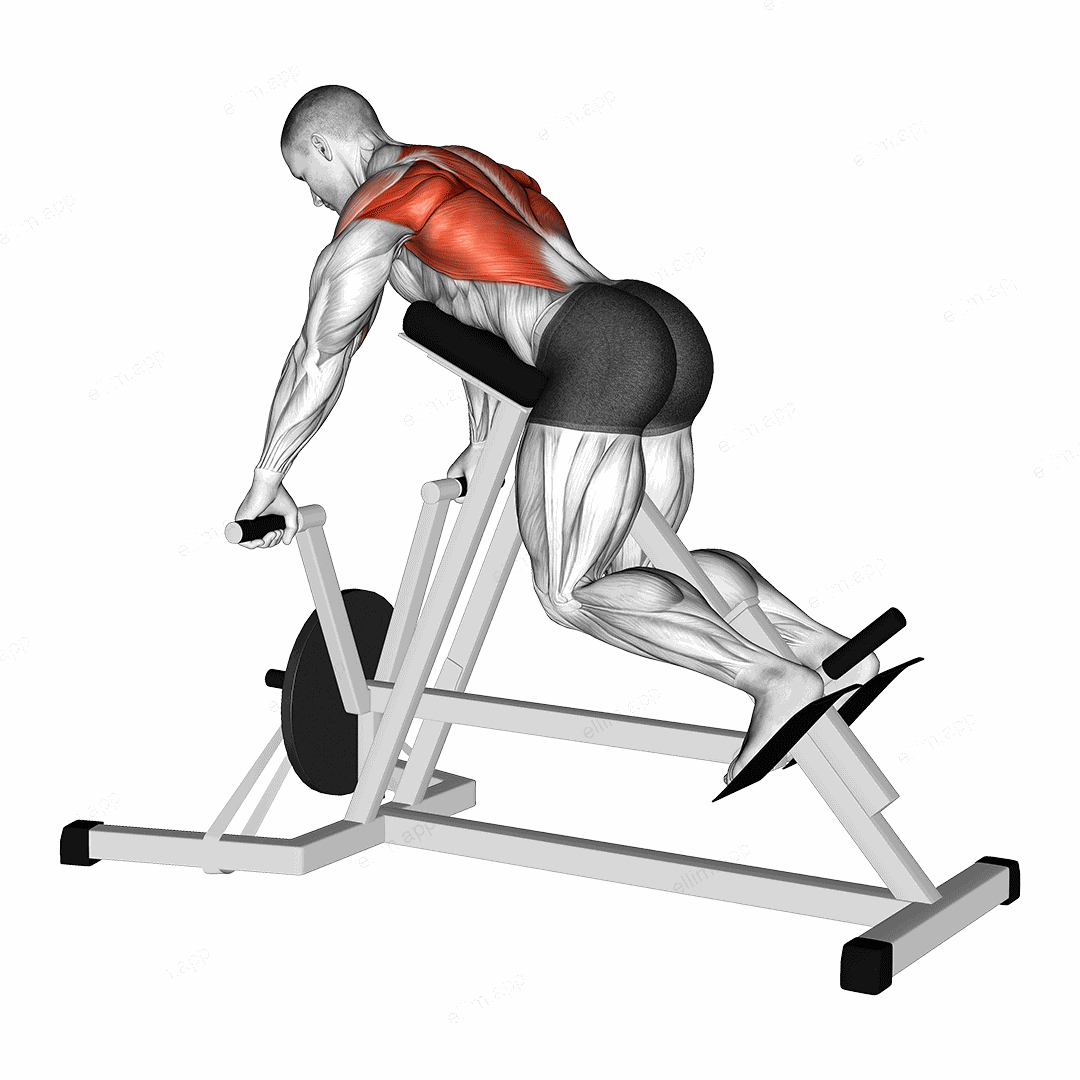 Lever Lying Banded T bar Row exercise targeting Back