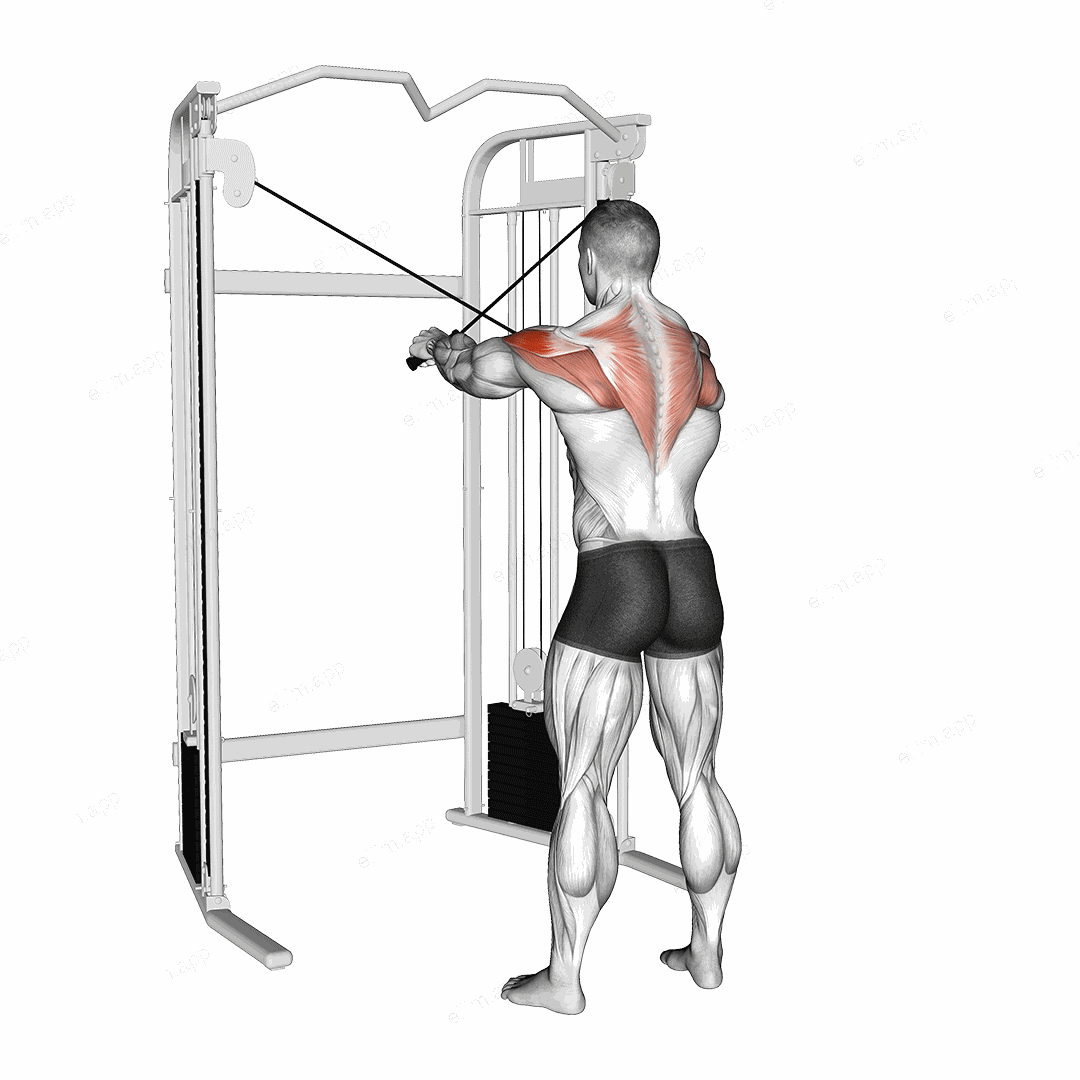 Cable 45 degrees Reverse Fly exercise targeting Shoulders