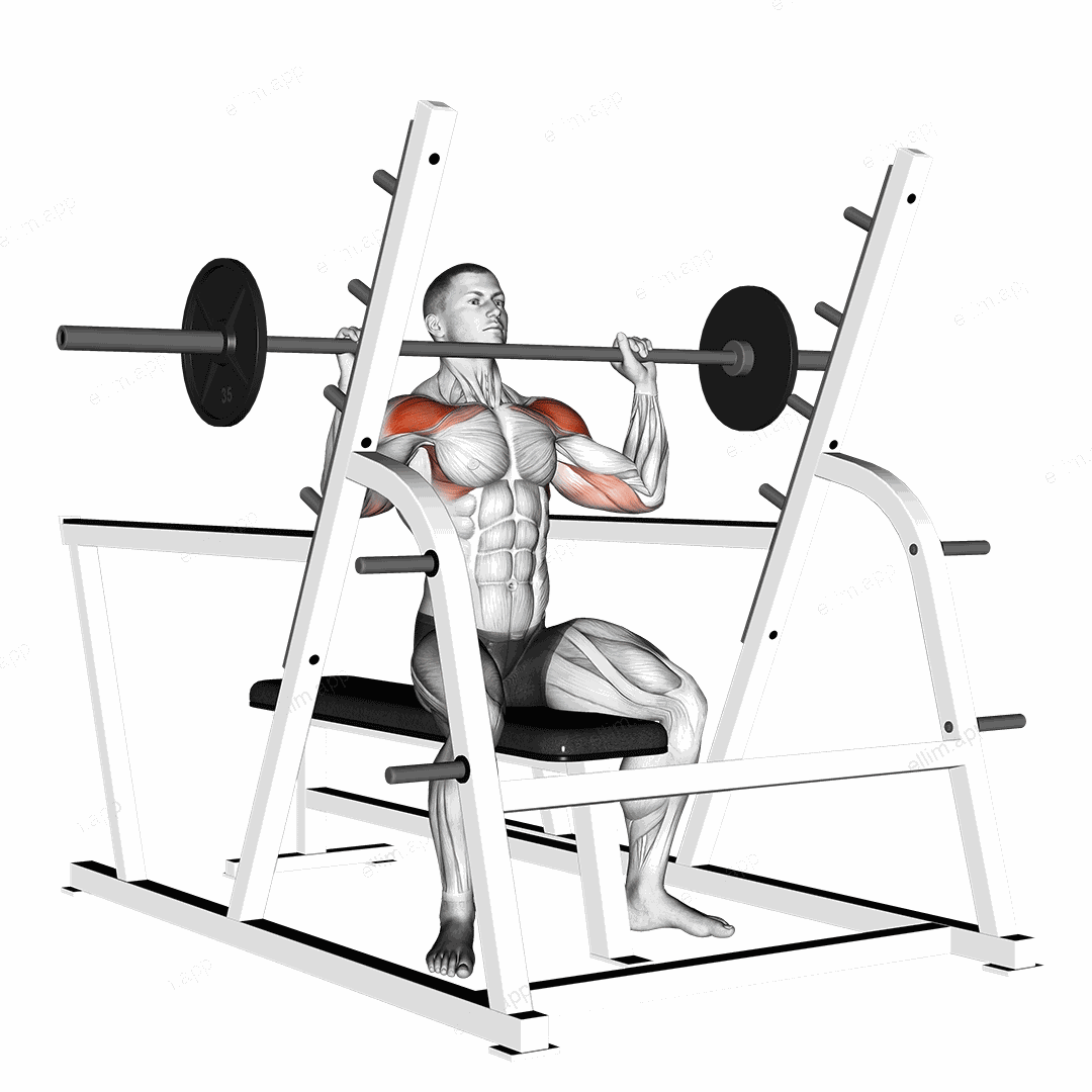 Barbell Seated Military Press (inside squat cage) exercise targeting Shoulders and Deltoid Anterior