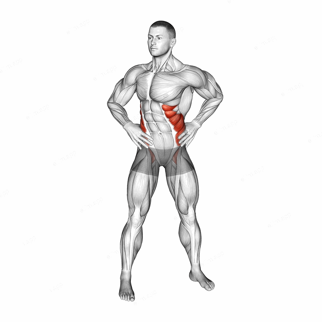 Bodyweight Standing Oblique Twist exercise targeting Waist