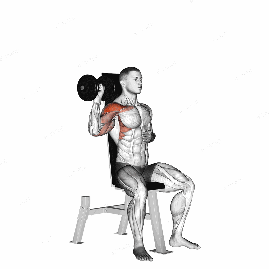 Dumbbell Seated One Arm Shoulder Press exercise targeting Shoulders and Deltoid Anterior