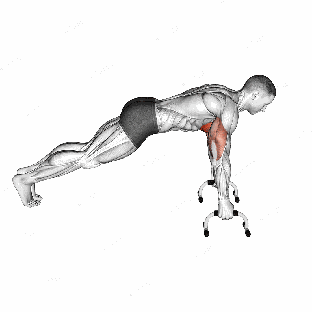 Push up (With push up handles) exercise targeting Chest