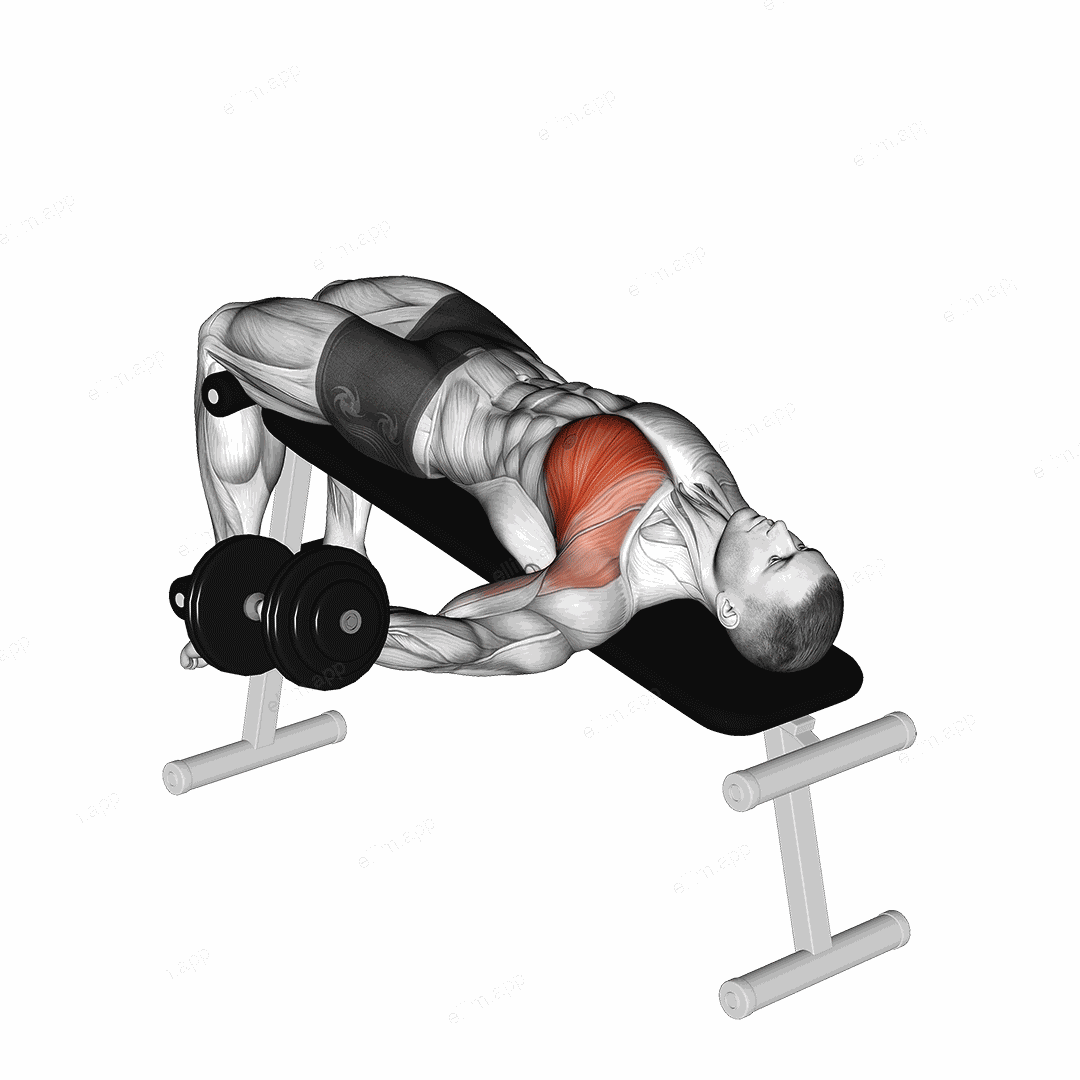 Dumbbell Decline One Arm Fly exercise targeting Chest and Pectoralis Major Sternal Head