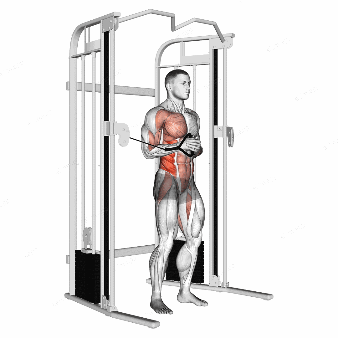 Cable horizontal Pallof Press exercise targeting Waist and Obliques