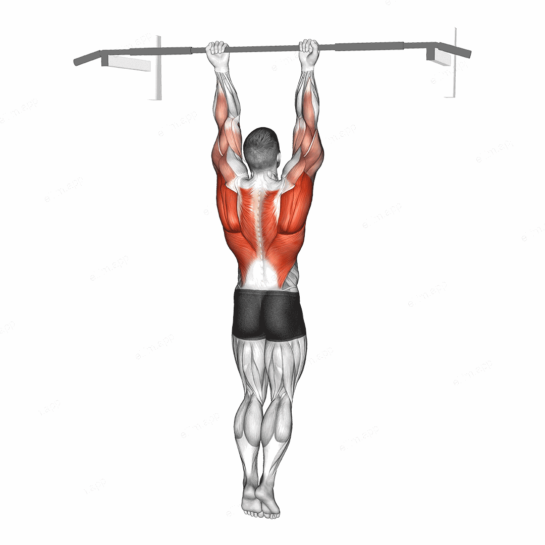 Chin-Up Around the Bar exercise targeting Back