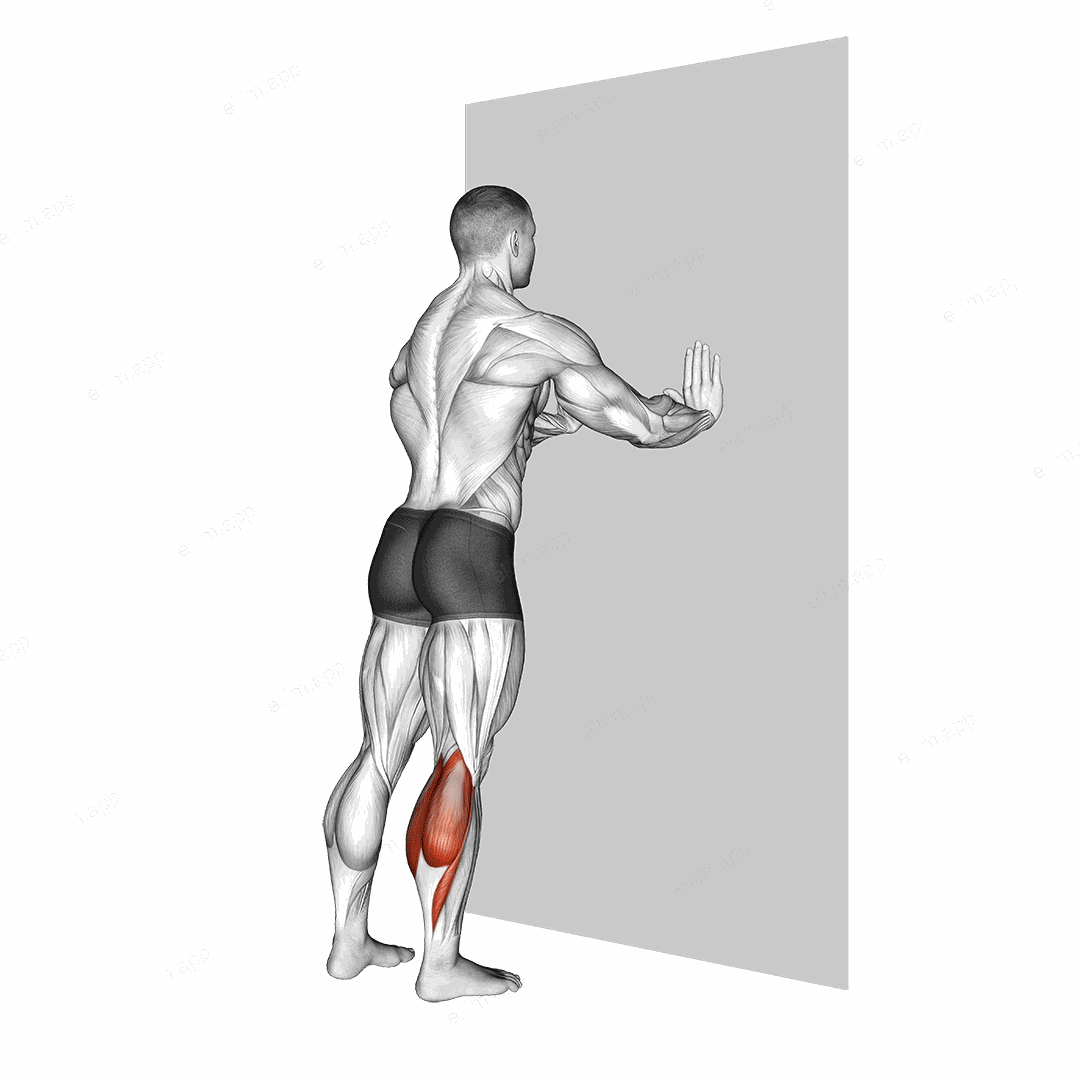 Standing Gastrocnemius exercise targeting Calves and Gastrocnemius