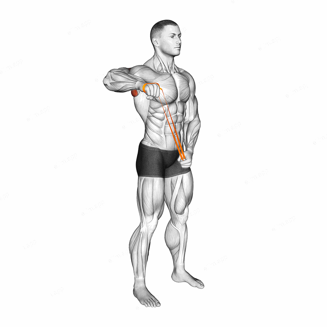 Resistance Band Standing 90 degrees Shoulder Extrernal Rotation exercise targeting Back