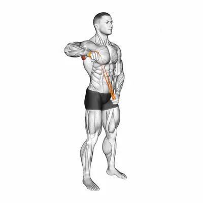 Resistance Band Standing 90 degrees Shoulder Extrernal Rotation exercise targeting Back