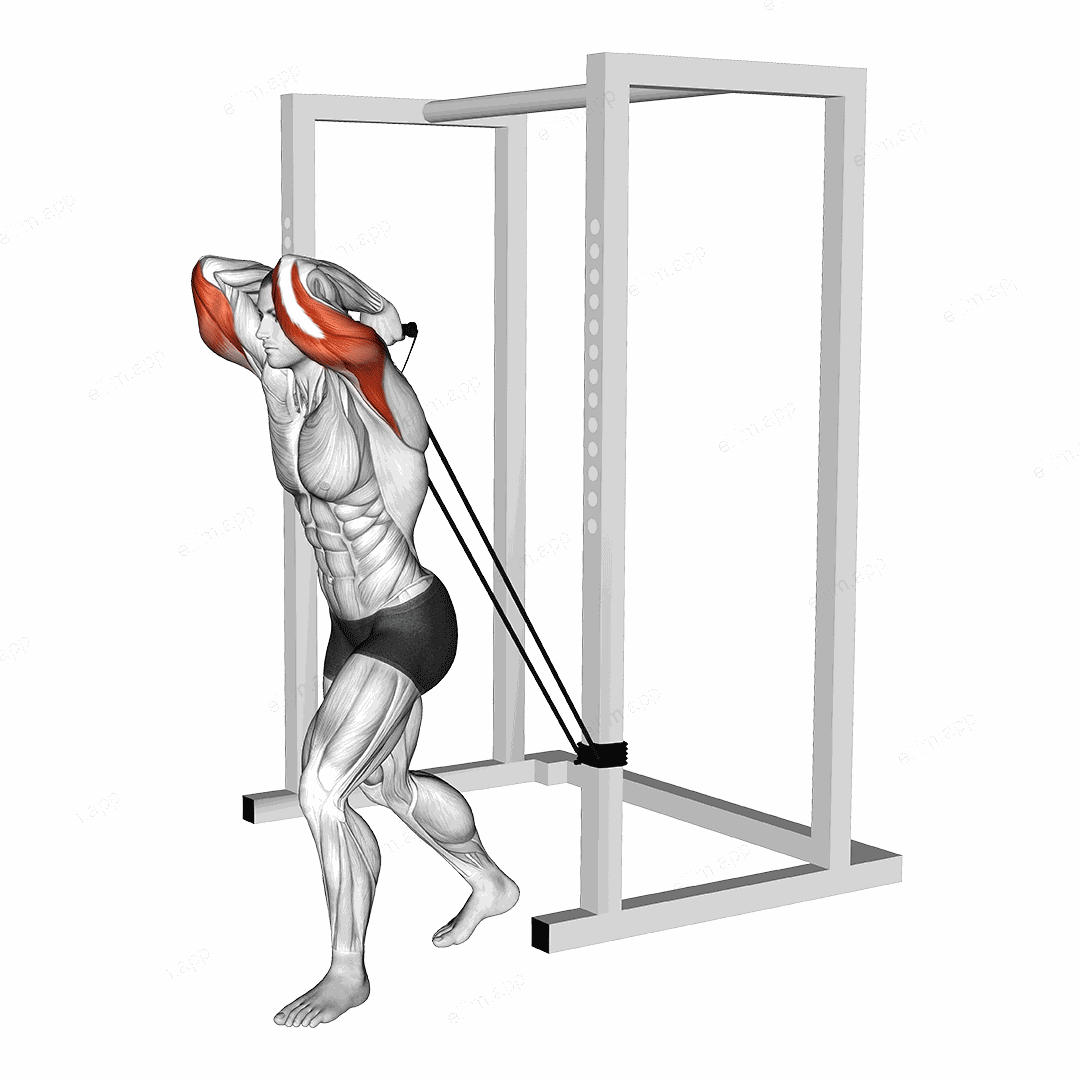 Band overhead triceps extension exercise targeting Upper Arms and Triceps Brachii