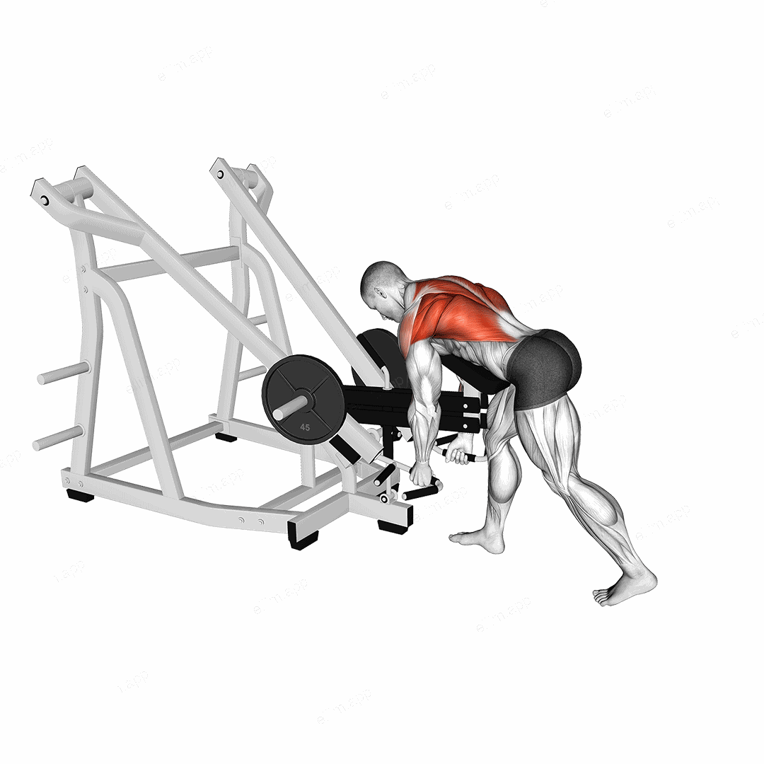 Lever Bent Over Neutral Grip Row (with chest support) exercise targeting Back
