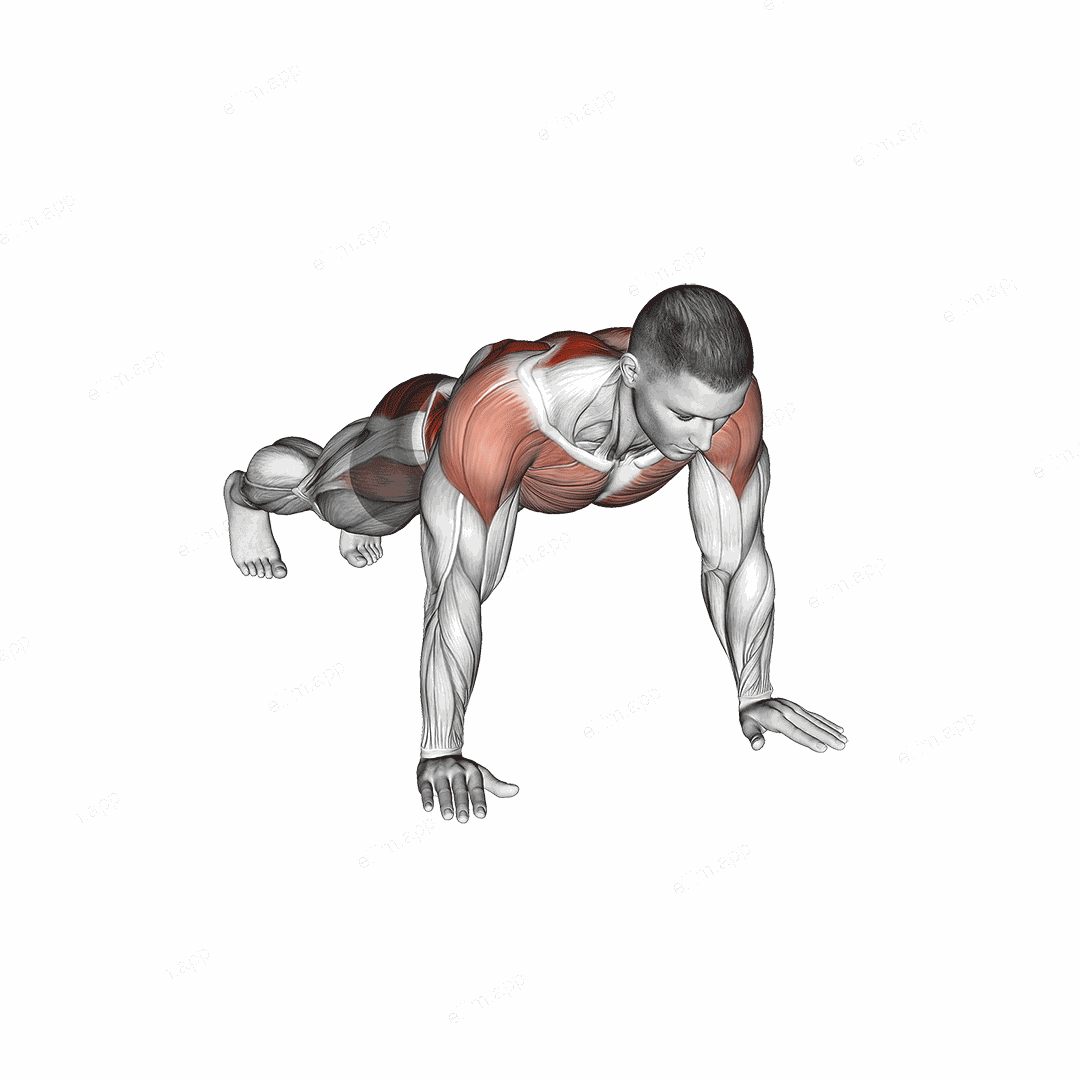 Plank Lateral Raise exercise targeting Waist