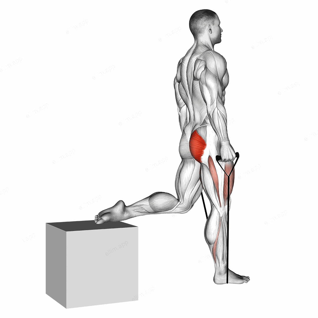 Band single leg split squat exercise targeting Hips and Gluteus Maximus