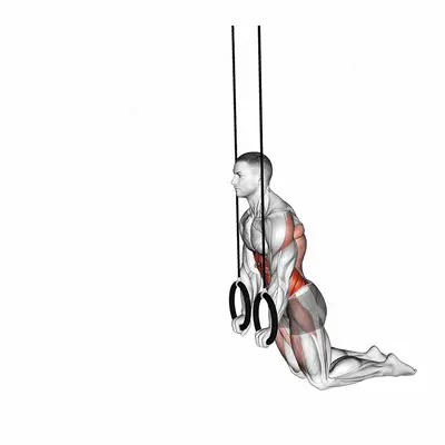 Ring Kneeling Ab RollOut exercise targeting Waist and Obliques