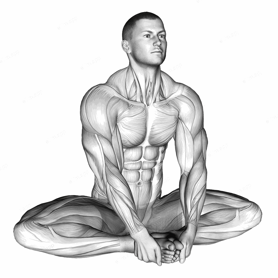 Seated Groin Stretch exercise targeting Hips and Adductor Brevis