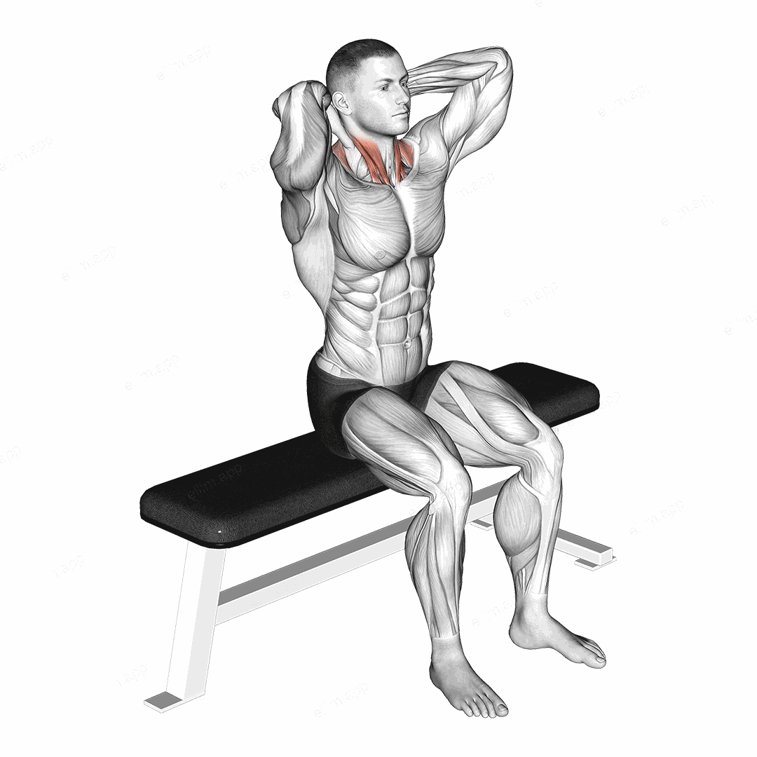 Seated Flexion And Extension Neck exercise targeting Neck and Sternocleidomastoid