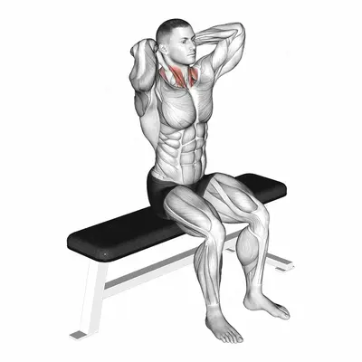 Seated Flexion And Extension Neck exercise targeting Neck and Sternocleidomastoid