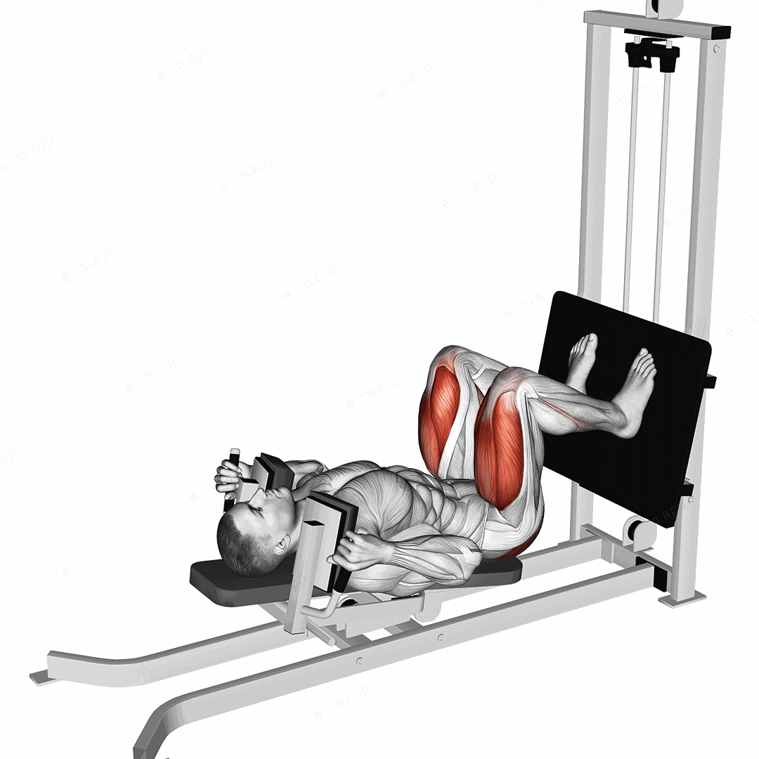 Sled Lying Squat exercise targeting Thighs and Gluteus Maximus