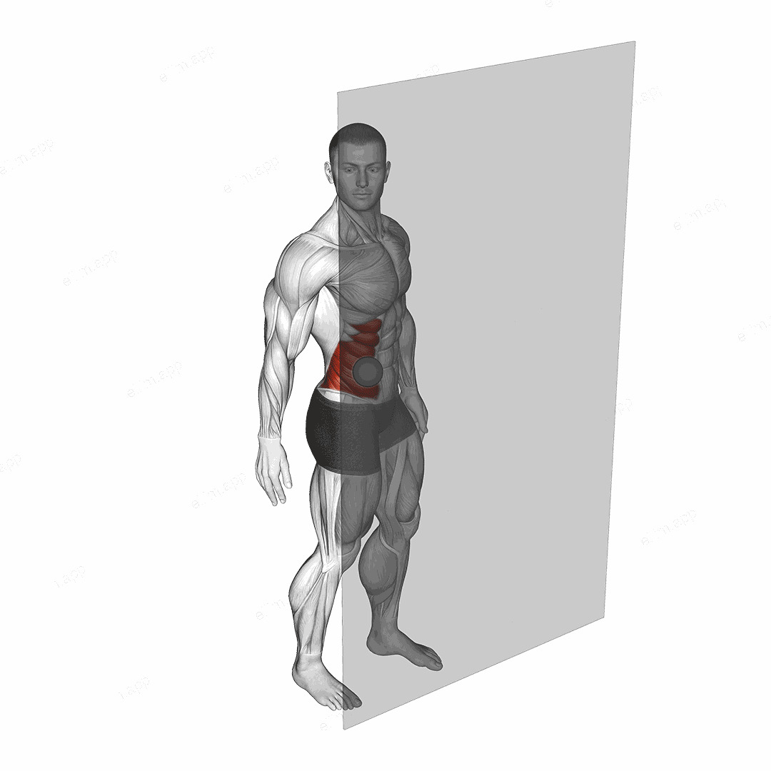 Roll Ball External Oblique exercise targeting Waist