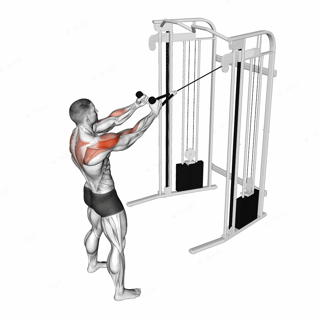 Cable Standing Supinated Face Pull (with rope) exercise targeting Shoulders