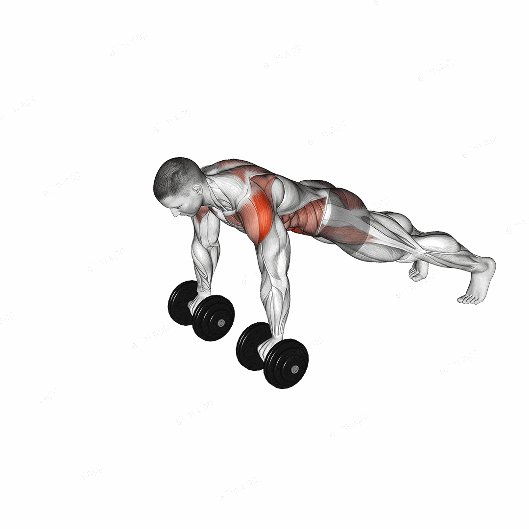 Dumbbell Front Plank Arm Raise exercise targeting Waist