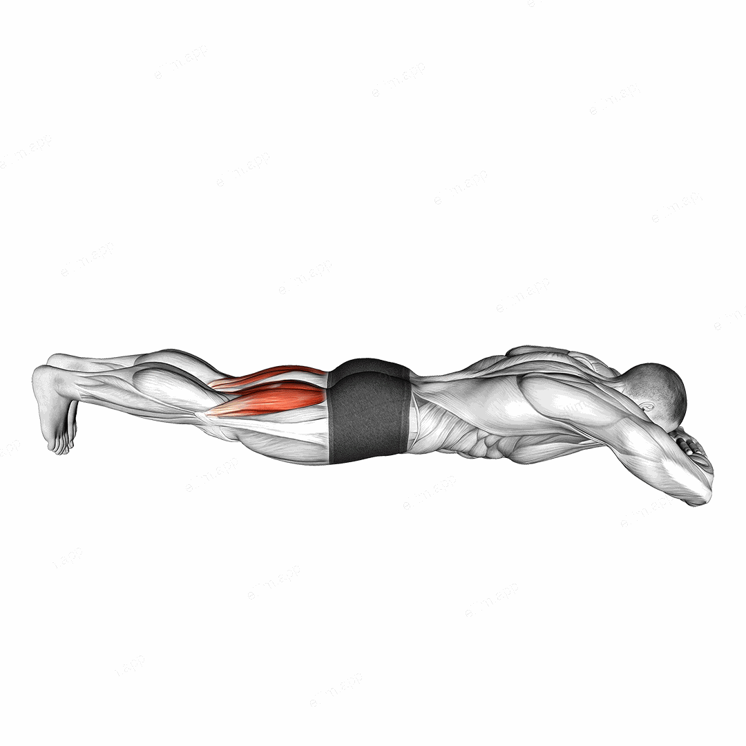 Bodyweight Lying Legs Curl exercise targeting Thighs