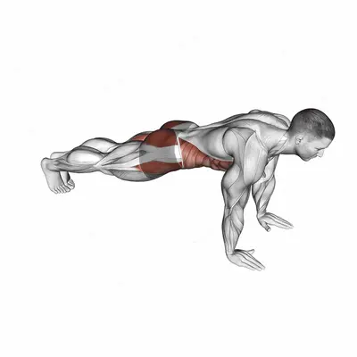 Plank Jack exercise targeting Waist and Gluteus Maximus