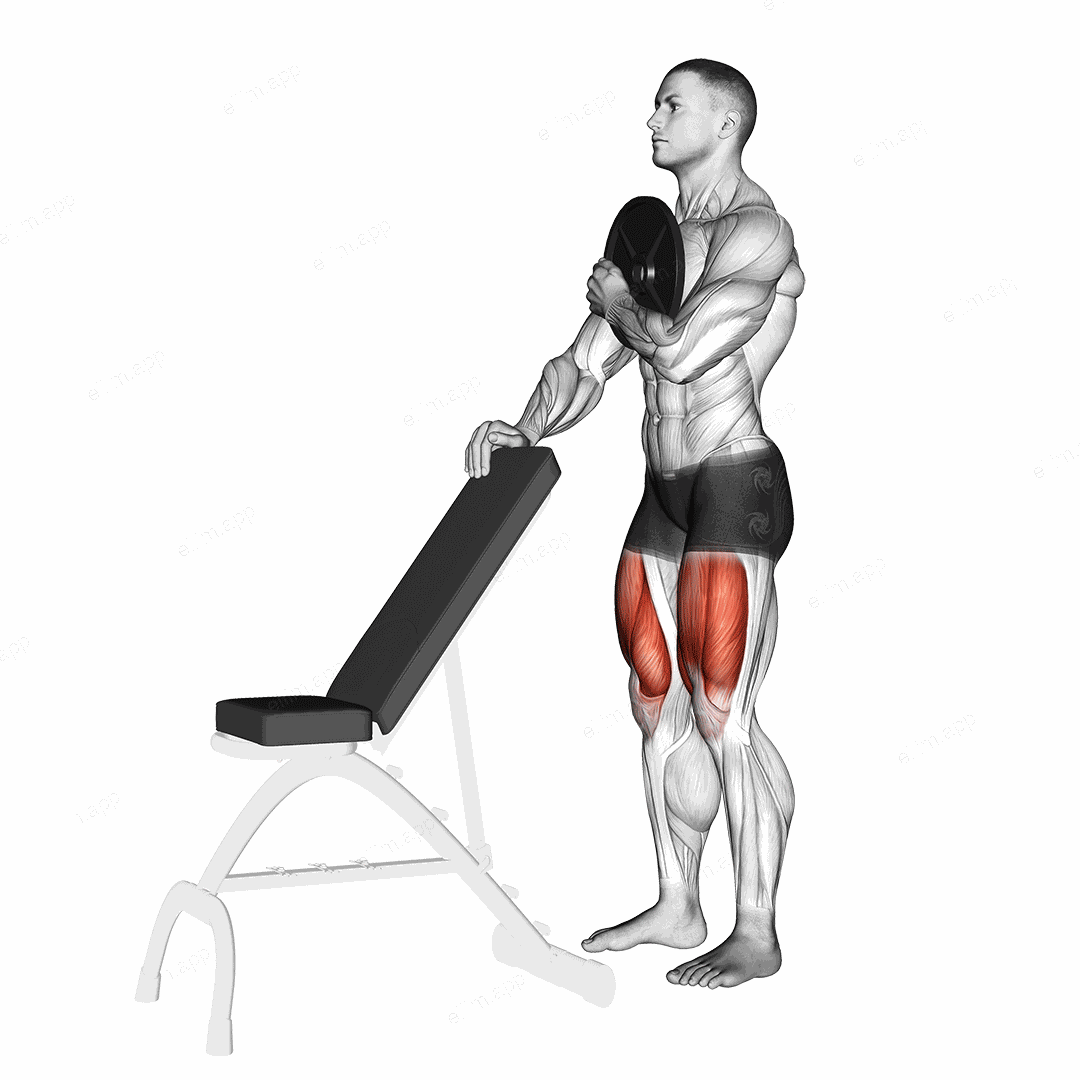 Weighted Sissy Squat exercise targeting Thighs and Quadriceps