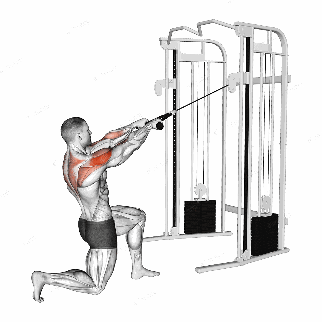 Cable Half Kneeling Face Pull exercise targeting Shoulders