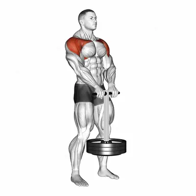 StrongMan Front Hold exercise targeting Shoulders