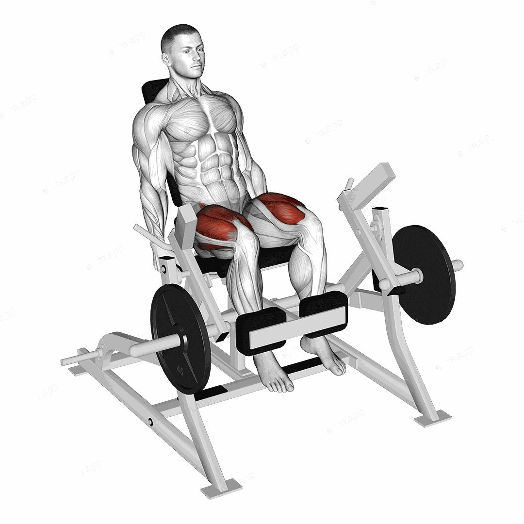 Lever Leg Extension (plate loaded) exercise targeting Thighs