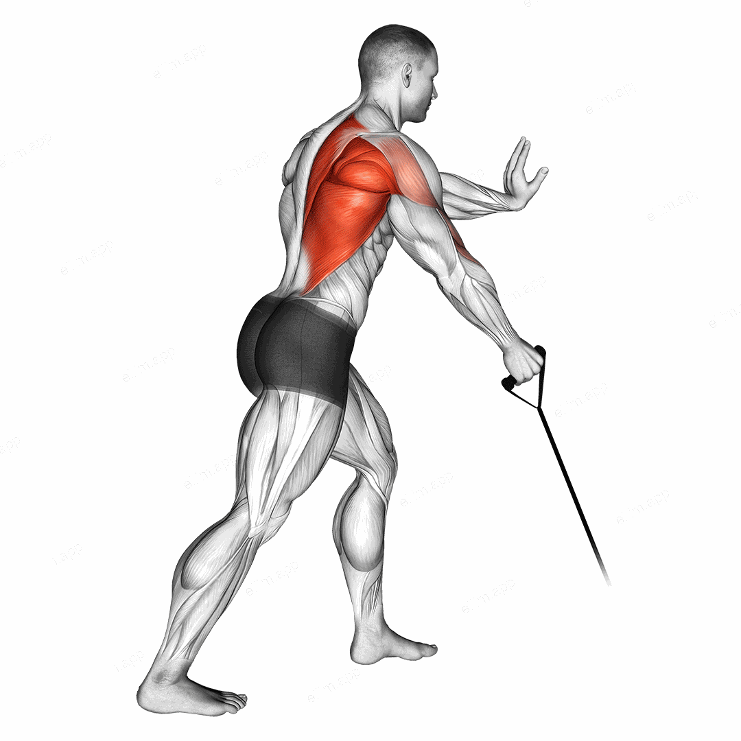 Band one arm Standing Low Row exercise targeting Back and Infraspinatus