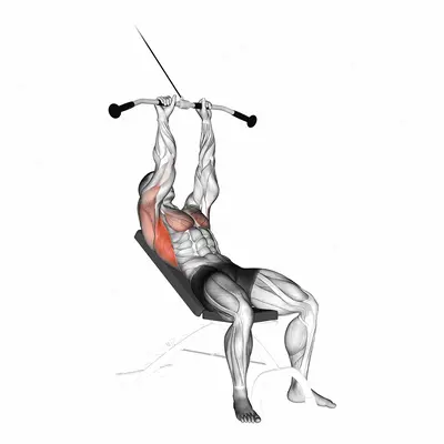Cable Incline Pushdown exercise targeting Back and Latissimus Dorsi