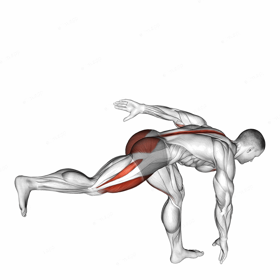 Single Leg Deadlift with Knee Lift exercise targeting Deltoid Anterior and Erector Spinae