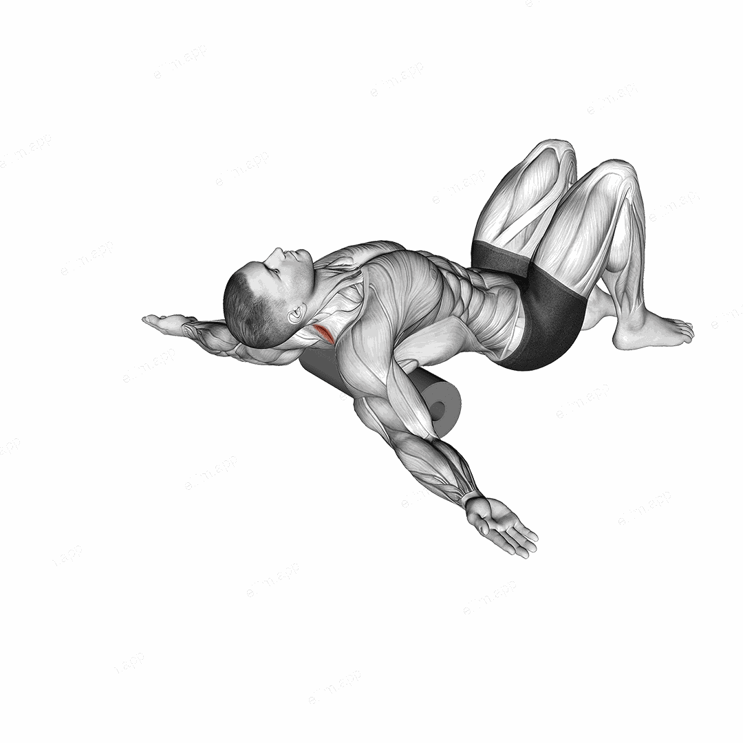 Roll Erector Spinae Lying on Floor exercise targeting Hips